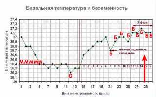Что можно узнать по температуре в заднем проходе у беременной?