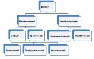 Как убрать заложенность носа без капель в домашних условиях: 7 эффективных способов