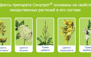 Таблетки для носа Синупрет: инструкция по применению и дешевые аналоги препарата