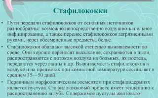Капли для носа с антибиотиком Изофра: инструкция по применению