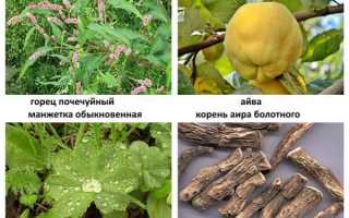 Как справиться с выпадением прямой кишки дома