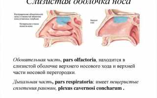 Чем снять отек слизистой носа: лечение в домашних условиях