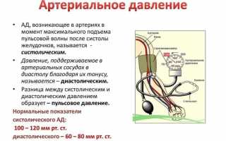 Как сделать так, чтобы пошла кровь из носа: быстрый способ спровоцировать кровотечение в домашних условиях