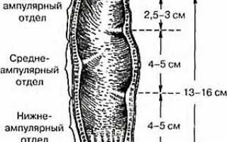 Насколько опасны болезни анального отверстия и прямой кишки