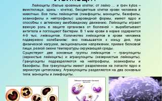 Острый гайморит код по МКБ-10: симптомы и лечение