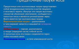 Болят гайморовы пазухи: воспаление при синусите и лечении челюсти – 7 причин постоянной боли