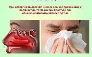 Что такое ринорея: симптомы и лечение заболевания у взрослых, 5 распространенных видов