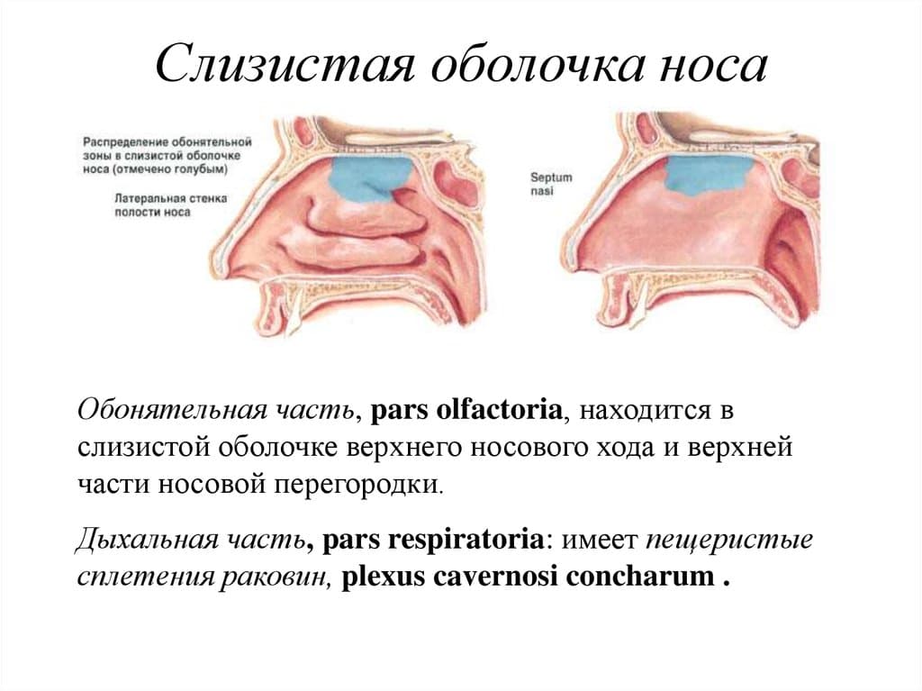 _